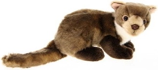 Kuna