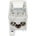 Pollmann 1003952