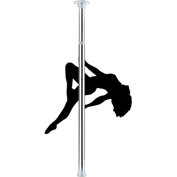 Image 1 of Ouch! Dance Pole Silver
