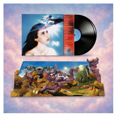 Magdalena Bay - Imaginal Disk LP