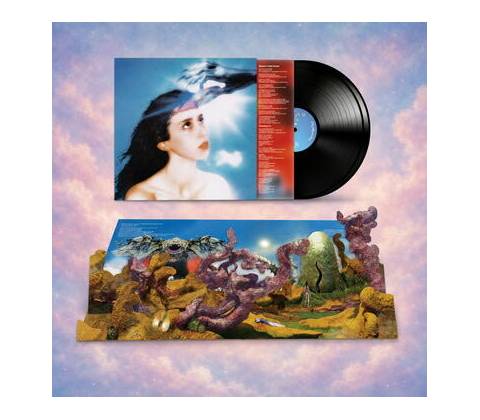Magdalena Bay - Imaginal Disk LP