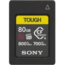 Sony 80 GB EAG80T.SYM