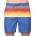 Rip Curl Мъжки плувни Rip Curl многоцветни Rip Curl | Mnogotsveten | МЪЖЕ | L