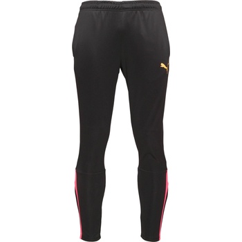 PUMA Team liga training pants xl