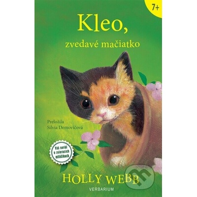 Kleo, zvedavé mačiatko