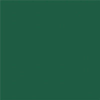 Sahm Ubrousek DNL DARK GREEN 45ks/bal 100025162 40x40cm