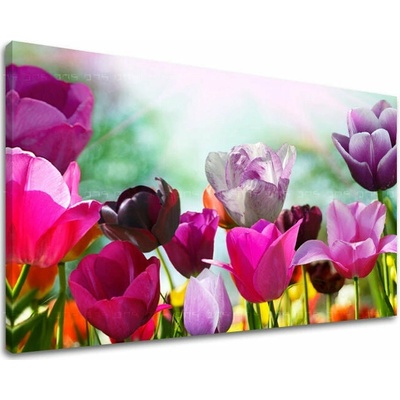 Obraz na stenu KVETY TULIPÁNY - 30x40