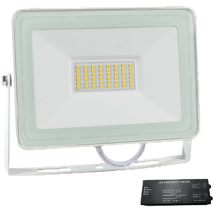 ELMARK Vega 50 slim smd 50w led ПРОЖЕКТОР 3000К БЯЛ+ab (98vega50ww/whe)