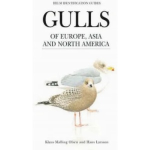 Gulls of Europe, Asia and North America | Klaus Malling Olsen (2004)