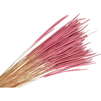 Sušená tráva Timotejka - Phleum 80g - ružová