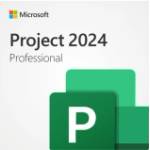 Microsoft Project Pro 2024 All Lng Retail Online ESD (EP2-07001) - caretech