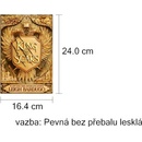 King of Scars Bardugo LeighPevná vazba