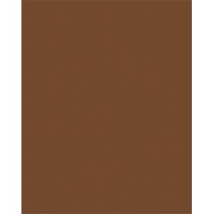 FOLIA Декоративен картон, двустранен, 50x70cm, 220 g, 10 листа, FOLIA, шоколадово кафяв 61221085 (6122/10 85)