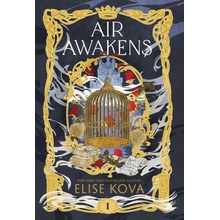 Air Awakens