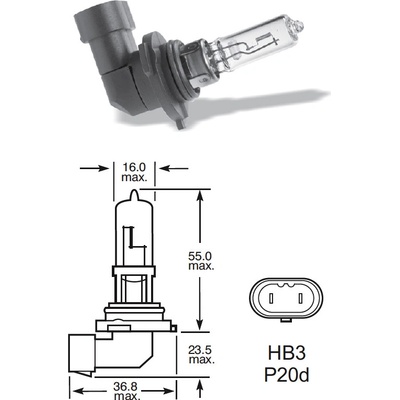 Elta HB3 P20d 100W 12V