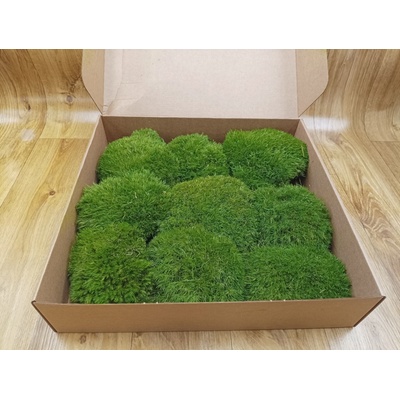 Nový Mood moss – nature green