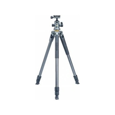 Vanguard Alta Pro2+ 263AB100