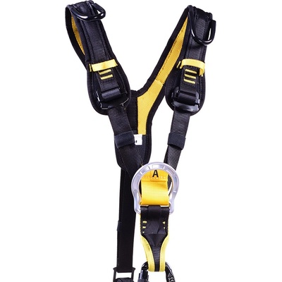 Beal Dragon Top