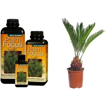 Growth Technology Palm Focus , hnojivo pro palmy 500 ml