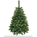 NOL Shops Jedle 180 cm