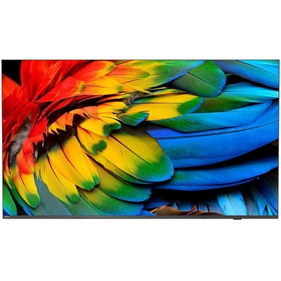 Philips 43HFL6214U/12