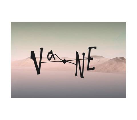 Vane