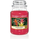Svíčky Yankee Candle Tropical Jungle 623 g