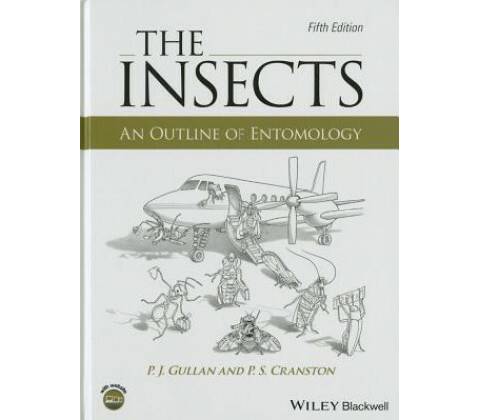 Insects