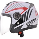 Cassida Magnum