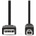Nedis CCGL60100BK30