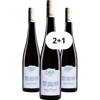 Weingut Polz Grüner Veltliner Steinfeder "Ried Obere Pointen" 2025 11,5% 0,75 l (holá láhev)