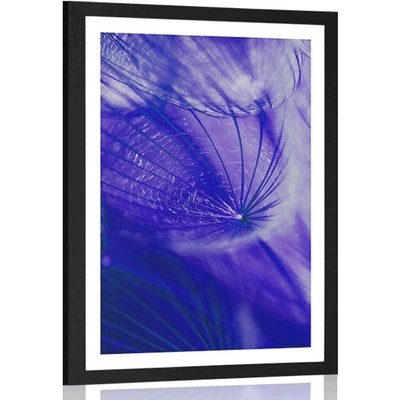 Plakát s paspartou krásná pampeliška v fialovém provedení - 30x45 white