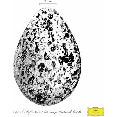 Snorri Hallgrímsson - The Importance Of Birds (12" EP)