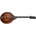 Eastman MDO305