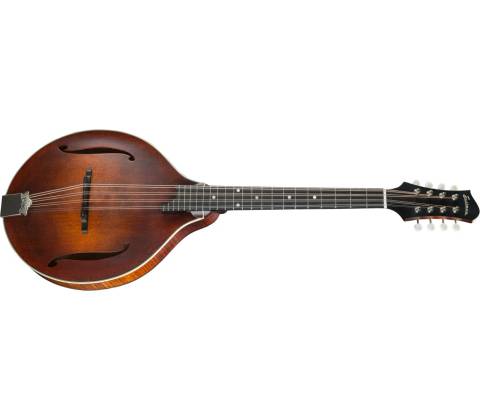 Eastman MDO305