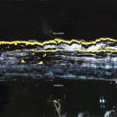 Gilla Band - PUGNELLO CD