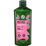 Yves Rocher Шампоан - за боядисана коса и блясък Шампоан за коса унисекс 300ml