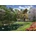 Anatolian - Puzzle Davison: Spring Lake Cottage - 3 000 piese