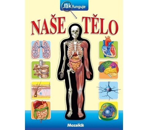 Naše tělo