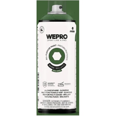 Wepro Water Envy 400 ml zelená lesklá