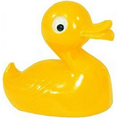 Směr Kachnička