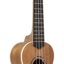 Stagg US-30