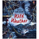 Look Inside Wild Weather