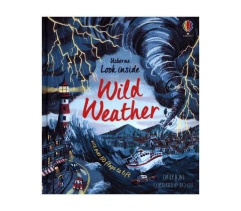 Look Inside Wild Weather