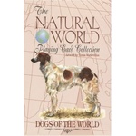 US Games Карти за игра US Games The Natural World Collection Dogs of the World