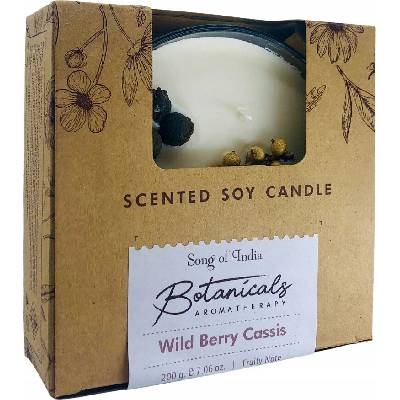Arôme Divoké bobule 200 g