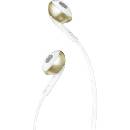 Image 1 of JBL Tune 205 gold (JBLT205CGDE)