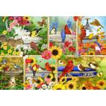 Bluebird Puzzle - Puzzle Feathers and Company - 1 000 piese