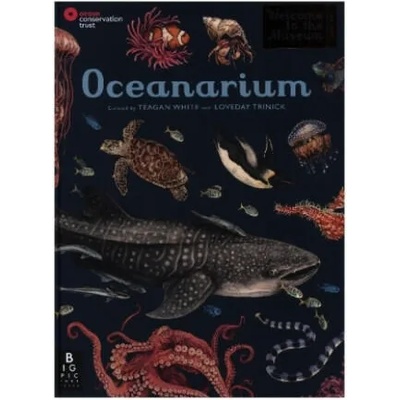 Oceanarium