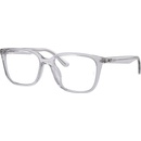 Ray-Ban RX7248D 8411